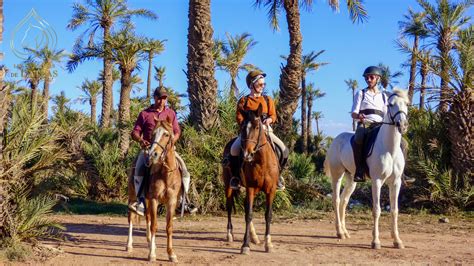 Cavaliers de l'Atlas à Marrakech .